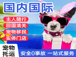 湿地机场空运国际宠物托运 【国